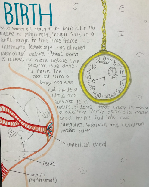 This student wanted to illustrate AND write the text for her piece. [Image description: a pregnant body next to a clock with a passage about birth.]